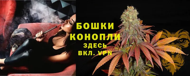 Бошки Шишки THC 21%  Новоузенск 